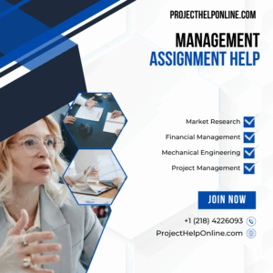 Management Assignment Help