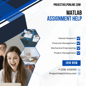 MatLab Assignment Help