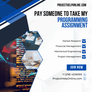 Pay Someone To Take My Programming Assignment