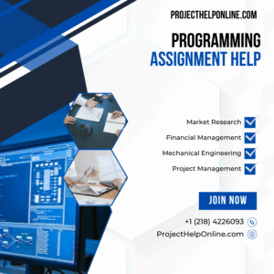 Programming Assignment Help