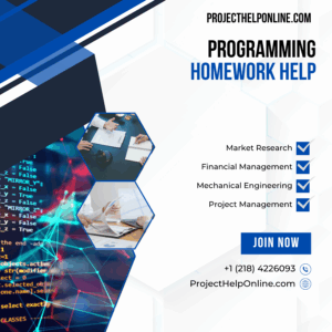 Programming Homework Help